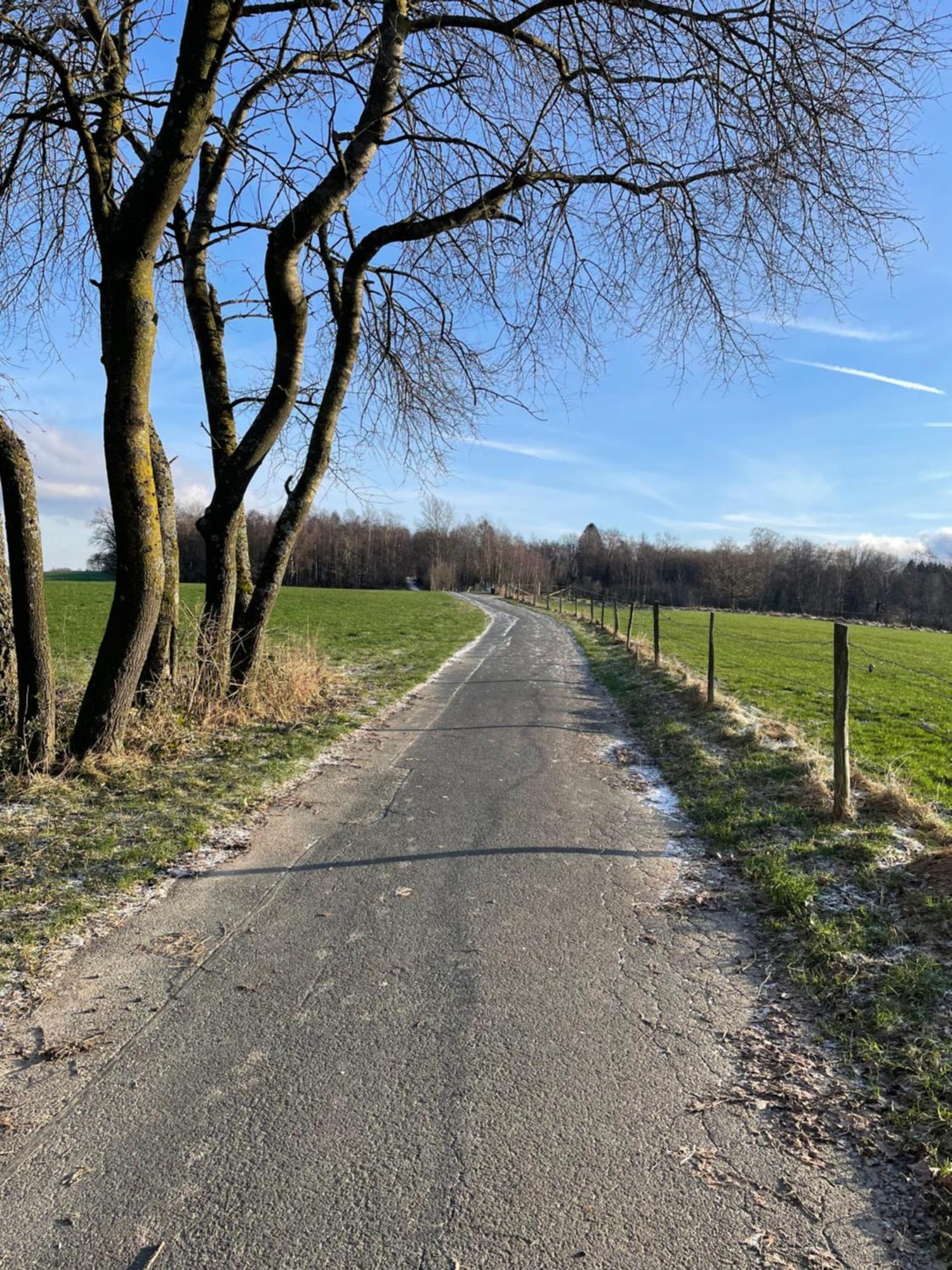 Widmann'S Ferienquartier Wiehl Exterior foto